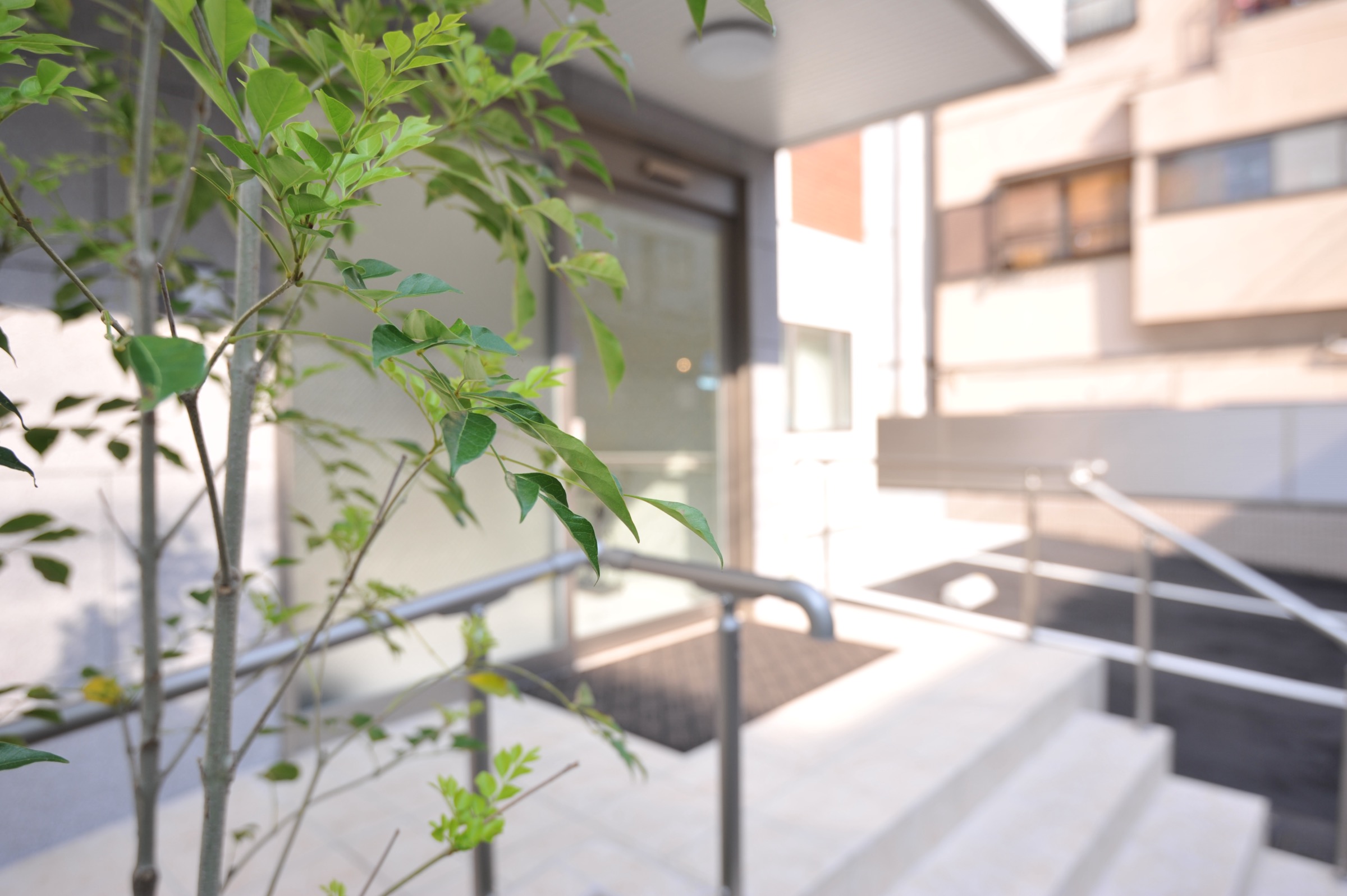 施設入口の植栽