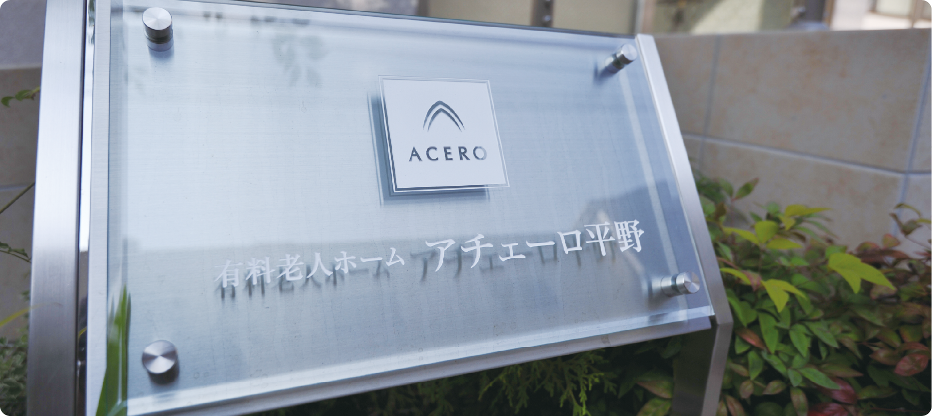 アチェーロ平野 写真